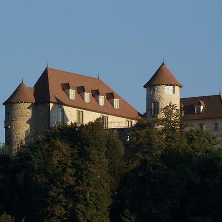 La Tour De Quinsonnas Bed & Breakfast Serezin-de-la-Tour Екстериор снимка