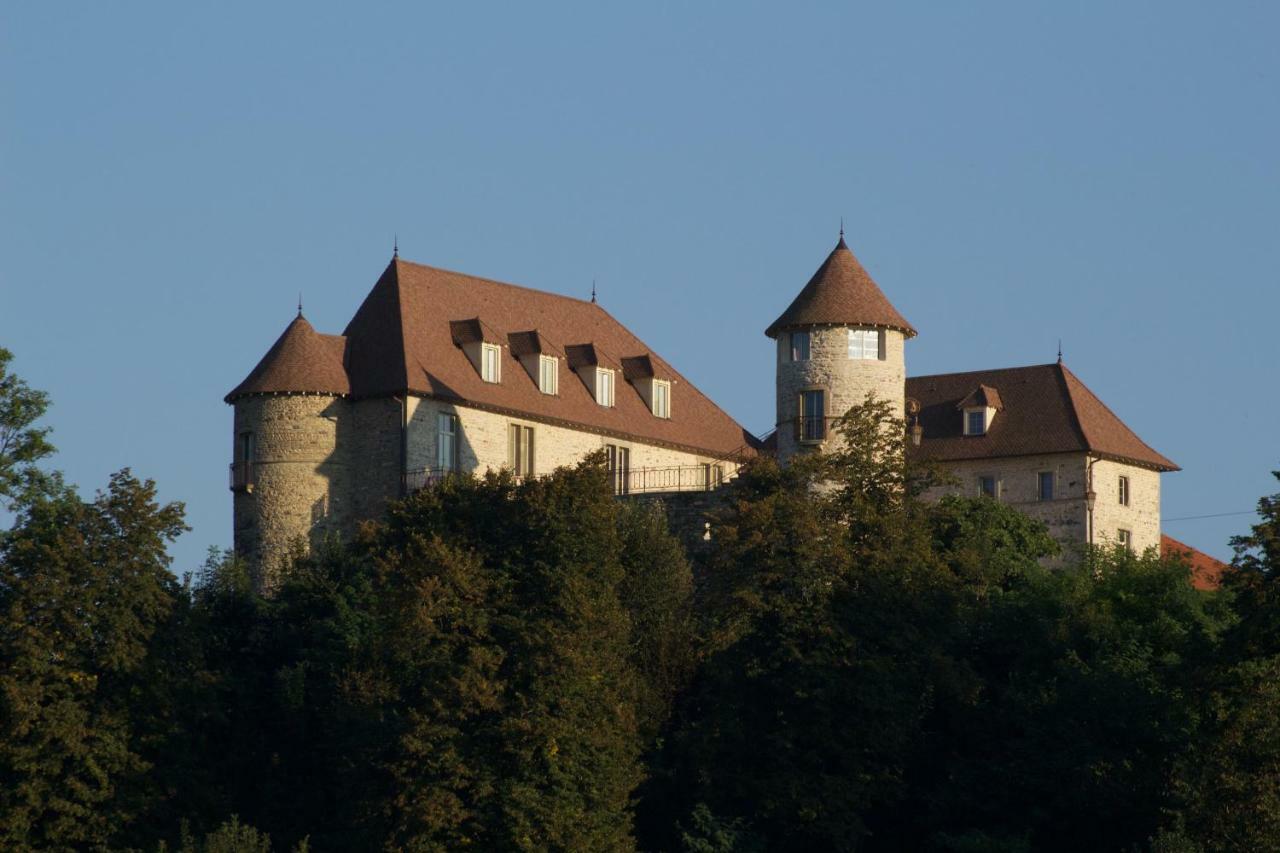 La Tour De Quinsonnas Bed & Breakfast Serezin-de-la-Tour Екстериор снимка